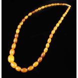 A String of Amber Beads of graduated ovoid form measuring 20" (51 cm) in length, approx 23g.