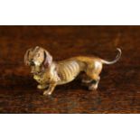 A Charming Cold Painted Bronze Dachshund, 2½" (6.5 cm) in length.