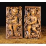 A Pair of Delightful 18th Century Carved & Painted Wooden Baroque Cherubs swathed in billowing