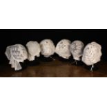 Six Antique Lace Bonnets on presentation heads.