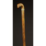 A 19th Century Walking Cane with small hook handle carved in the form of a spaniel's head inset