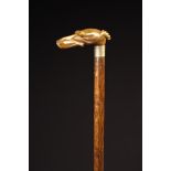 A Walking Cane with a carved horn handle in the form of a Whippet's head inset with glass eyes,