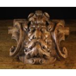 An Architectural Carved Oak Boss emblazoned with the face of a Green-man on a scrolled cartouche,