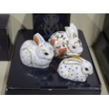 Three Royal Crown Derby paperweights - Meadow Rabbit and Bunny - both boxed and small Rabbit un-