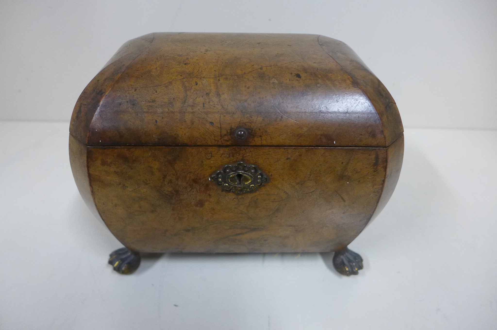 A burr walnut two section tea caddy on brass hairy claw feet - 16cm tall x 22cm x 14cm - some damage