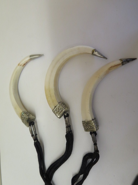 A wild boar tusk and white metal mount necklet, three boar tusk and white metal necklaces and two - Image 4 of 4