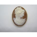 A 9ct gold mounted cameo brooch with deep mount and double rope twist edge, measures 4.5cm x 3.5cm -