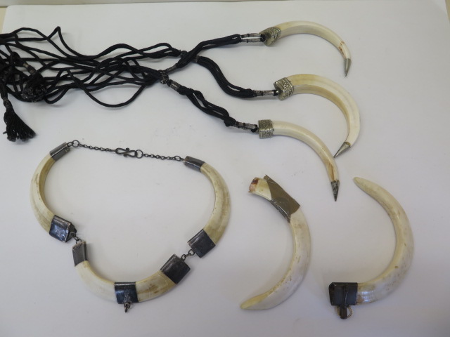 A wild boar tusk and white metal mount necklet, three boar tusk and white metal necklaces and two