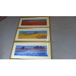 3 x John Horsewell prints in gilt frames - red, yellow and blue fields. 44 x 96cm. All good minor