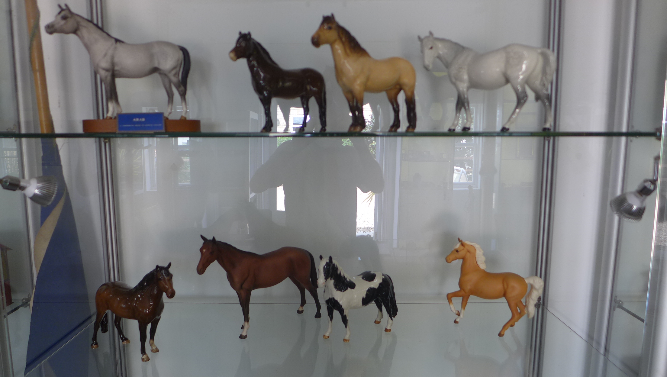 8 x Beswick horses: dappled grey, highland pony, exmoor pony, new forest pony, arab, piebald and two