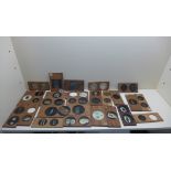 A collection of magic lantern slides mainly to do with sea life -26 in total