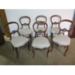 A set of six Victorian balloon back dining chairs in sound condition, recently recovered