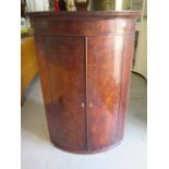 A Georgian mahogany bowfronted corner cupboard, 111cm tall, 75cm wide