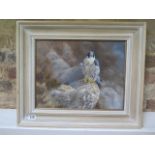 An oil on board of a Falcon on Pembrokeshire coast by Alistair Proud in a limed frame, 44cm x