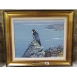 An oil on board of a Peregrine falcon by Alistair Proud in a gilt frame entitled verso Peregrine