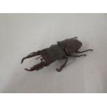 A bronze beetle, 14cm long