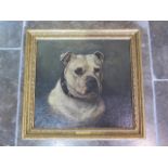 An oil on canvas on board of a boxer dog, unsigned but with a plaque to frame J.EMMS 1843-1912, in a