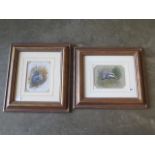 Paul Dawson, two watercolours, Grey squirrel and a Badger, in gilt frames, 43cm x 48cm, in good