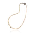 A single-row cultured pearl necklace, with a diamond-set Art Deco clasp, 44cm long