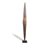 An Aboriginal narrow shield Australia with an integral handle and all-over fine carved texture, 19th