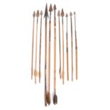 Six Mbuti Pygmy arrows Democratic Republic of the Congo with metal leaf shape tips, reed shafts