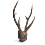 A Burmese head carved with polychrome decoration and with a pair of three point antlers, 70cm high.