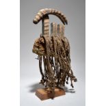 A Mossi headdress Burkino Faso carved as an antelope with black and white decoration and with a