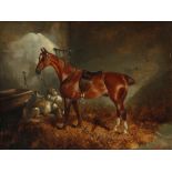 J. Binns (19th Century) A saddled horse and dogs in a stable Signed Oil on canvas 26.3 x 31.2cm; 10¼