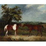 English School Early 19th Century A bay hunter facing a skewbald in a landscape, a town in the