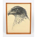 Paul Jouve (1878-1973) Eagle pencil on paper, framed signed in pencil lower left 45.5 x 35.5cm.