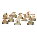 A SET OF TEN GERMAN TOLE MUSHROOM TEACHING AID BOOKENDS LATE 19TH / EARLY 20TH CENTURY each