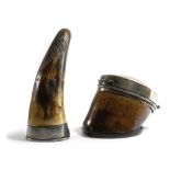 TWO 19TH CENTURY SNUFF BOXES one in the form of a horse's hoof, with plated mounts, a hinged lid and