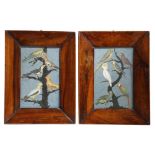 A PAIR OF CONTINENTAL BIRD COLLAGE PRINT PICTURES LATE 19TH / EARLY 20TH CENTURY each depicting
