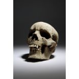 A RARE SAILOR'S WHALEBONE MODEL OF A HUMAN SKULL 19TH CENTURY OR POSSIBLY EARLIER possibly carved