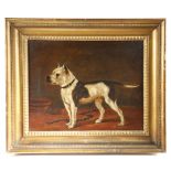 A NAIVE OIL PAINTING OF A BULLDOG LATE 19TH CENTURY oil on canvas, in a moulded giltwood frame 34.