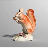 A Derby model of a red squirrel, c.1765, seated on its haunches and eating a nut held in its