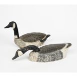 Two carved wood Canada Geese decoys, painted in colours, one modelled feeding, the other head up,
