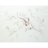 ‡ John Skeaping RA (1901-1980) Studies of antelope running Signed and dated 78 Pastel and pencil
