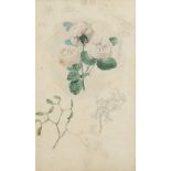 English School c.1900 Studies of a rose and other flowers (recto); Cloud studies (verso) Verso