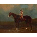 English School 19th Century A bay racehorse with jockey up Oil on canvas 51.8 x 62.2cm; 20Ό x 24½in