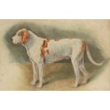 English School 19th Century Study of a hound Pencil and watercolour 19.8 x 29.8cm; 7Ύ x 11Ύin