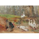 Herbert William Weekes (1841-1914) Tis No Matter For His Swellings Nor His Turkey Cocks Signed Oil