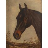 English School 19th Century Head of a bay horse Oil on canvas 88.9 x 75.5cm; 35 x 29Ύin