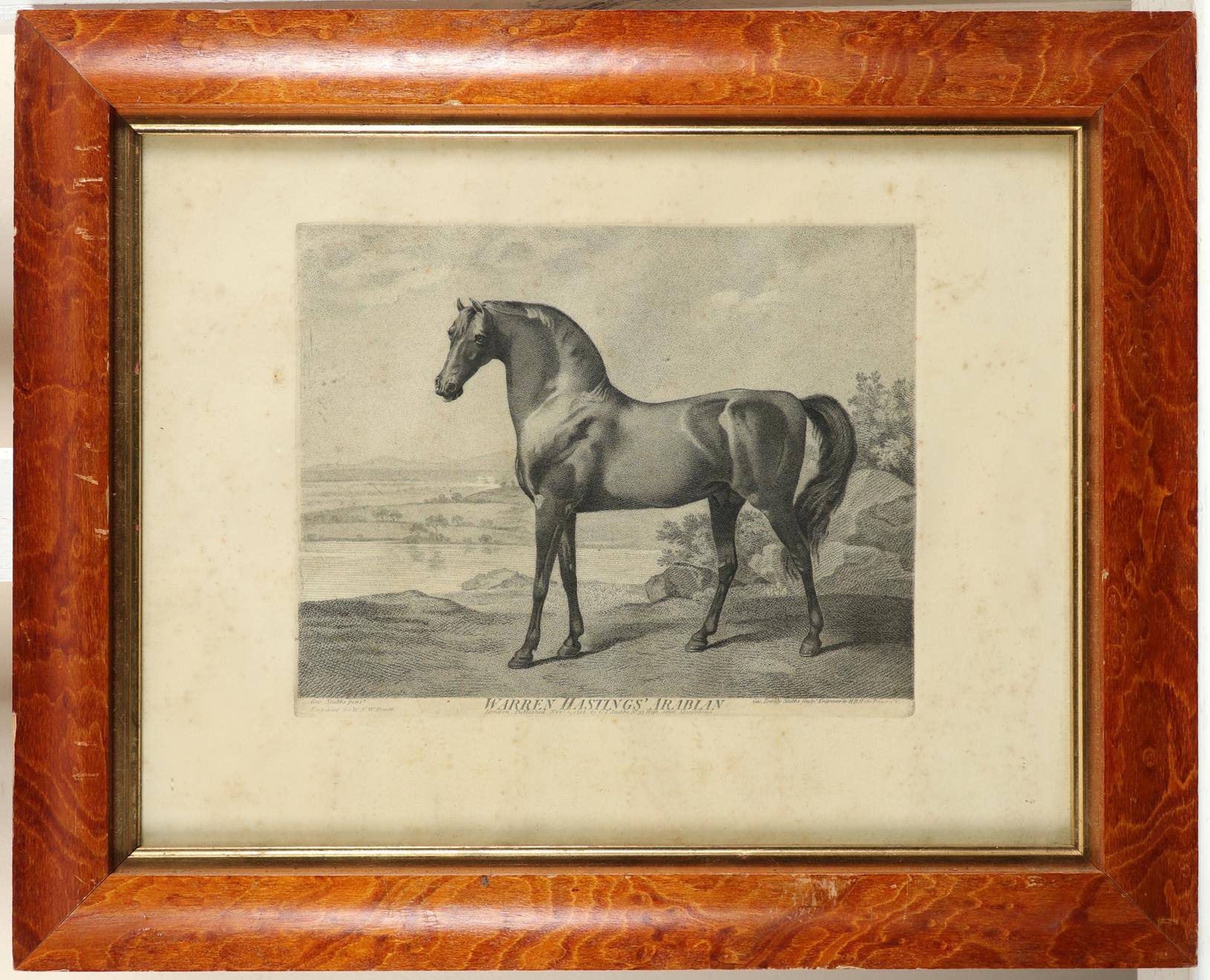 George Townly Stubbs (1756-1815) after George Stubbs ARA (1724-1806) Warren Hastings' Arabian - Image 2 of 3