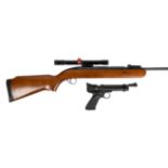 A BSA .22 Airsporter air rifle, with sighted barrel and fitted with a BSA 4x20 telescopic sight;