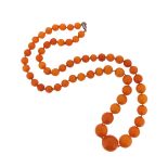 A single-row amber bead necklace, the round beads graduate from 7 - 9mm, 60cm long, 34g Woolley