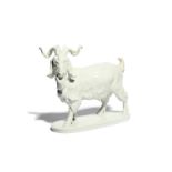 A Meissen figure of a billy goat modern, after the model by J J Kändler, standing on a low oval base