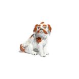 A Meissen figure of a Bolognese terrier 19th century, the small dog seated on its haunches with head