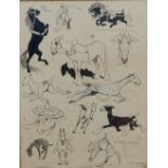 Tom Browne (British 1870-1910) sheet of caricature studies of types of horses including circus