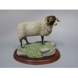 A limited edition Border72 Fine Arts model of a standing ram inscribed JA Butler edition number 48/